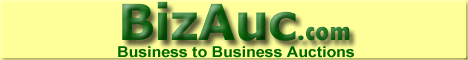 Visit BizAuc.com!